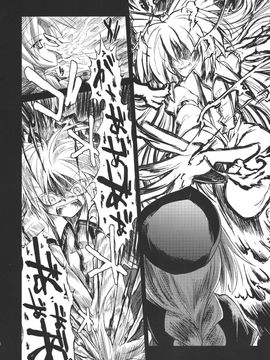 (C79)[あさつき堂]Last·Elixi(東方Project)[喵玉汉化]_033