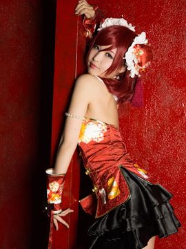 Ladybug_045