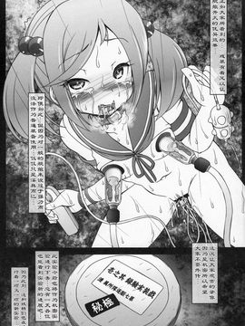 [サークルENERGY (新春夏秋冬)] 漣と妖精の戯装実験録 (艦隊これくしょん -艦これ-)_011