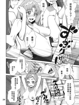 (C88) [ゲルピン (水無月十三)] 夜のグランプリンセス (Go!プリンセスプリキュア)_024