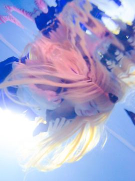 [しゅがーみゅく] 風あつめ ～島風&雪風～_427