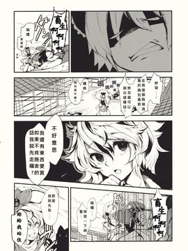 (紅楼夢6) [Carcharias! (cis_N)] タイガーインストール (東方Project)_008