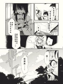 (紅楼夢6) [Carcharias! (cis_N)] タイガーインストール (東方Project)_009