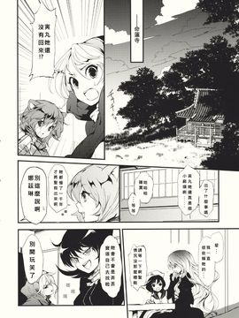 (紅楼夢6) [Carcharias! (cis_N)] タイガーインストール (東方Project)_010