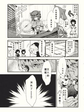 (紅楼夢6) [Carcharias! (cis_N)] タイガーインストール (東方Project)_011