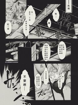 (紅楼夢6) [Carcharias! (cis_N)] タイガーインストール (東方Project)_012