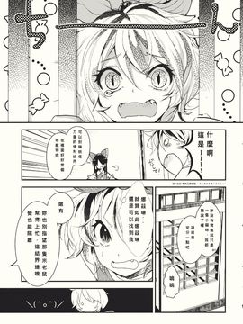 (紅楼夢6) [Carcharias! (cis_N)] タイガーインストール (東方Project)_013