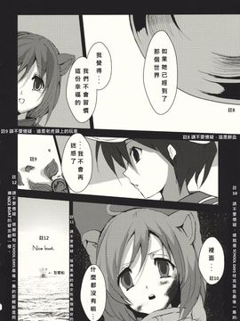 (紅楼夢6) [Carcharias! (cis_N)] タイガーインストール (東方Project)_014