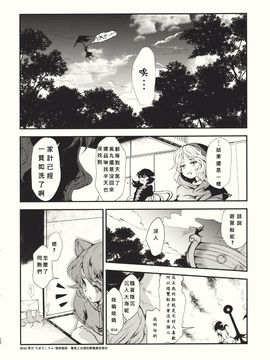 (紅楼夢6) [Carcharias! (cis_N)] タイガーインストール (東方Project)_018