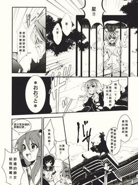 (紅楼夢6) [Carcharias! (cis_N)] タイガーインストール (東方Project)_025