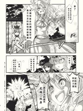 (紅楼夢6) [Carcharias! (cis_N)] タイガーインストール (東方Project)_026