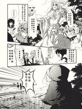 (紅楼夢6) [Carcharias! (cis_N)] タイガーインストール (東方Project)_027