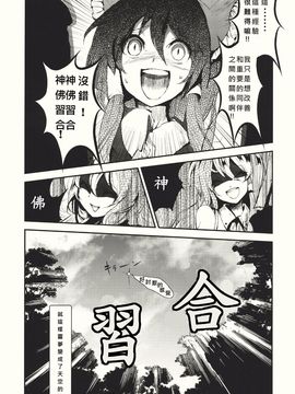 (紅楼夢6) [Carcharias! (cis_N)] タイガーインストール (東方Project)_035