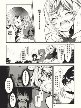 (紅楼夢6) [Carcharias! (cis_N)] タイガーインストール (東方Project)_036