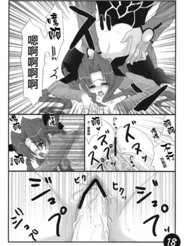 (サンクリ25) [CS205 (キネヤエムコ)] CATHARSIS (Fate_stay night)_016