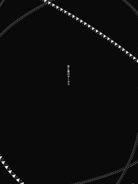 (C88) [ついてゆけぬよ (ぞ)] 赤と青のサーカス (東方Project)_026