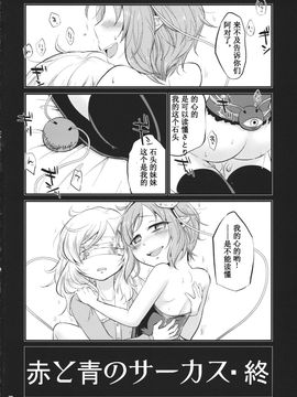 (C88) [ついてゆけぬよ (ぞ)] 赤と青のサーカス (東方Project)_029