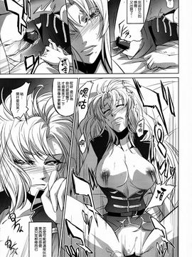 (C81) [DEX+ (中寺明良)] Marida Cruz 3 (ガンダムUC)_013