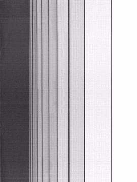 (関西!けもケット4) [碧蜥蜴 (toka)] 一一一 (ブレス オブ ファイアIII)_003