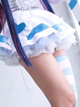 Shimapan and Stocking_028