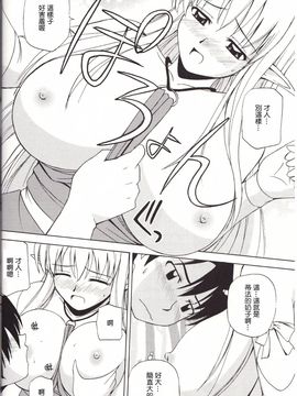 (C74) [G-Scan Corp. (佐藤茶菓子)] Le beau maître 4 (ゼロの使い魔)_011