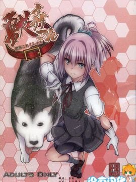(サンクリ61) [漸速ライダー (天漸雅)] 獣姦これくしょん (艦隊これくしょん -艦これ-)