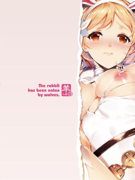 [羊小屋 (橘由宇)] 兎は狼達に食べられてしまいました。 (グランブルーファンタジー)[无毒汉化组]_16