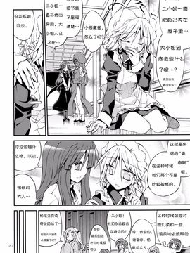 (C85) [粟米湯 (さとうきび)] 世界でいちばんお姉さま!! (東方Project)_020