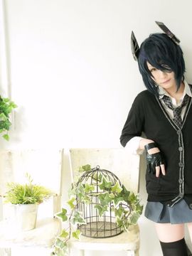 suite collection15_249
