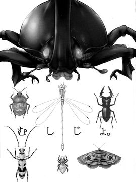 (C87) [シュート・ザ・ムーン (フエタキシ)] むしじょ。_003