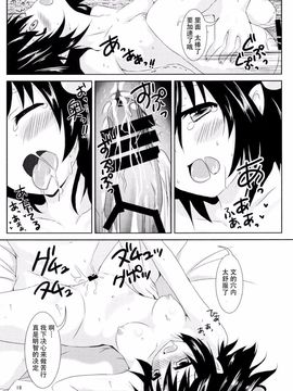 (C86) [Angel Bless (月路)] 文サンノ気マグレ (東方Project)[CE家族社]_19