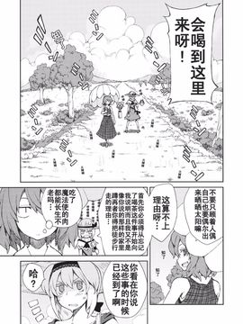 [森の蟲 (もりのほん、N2FC)] 思念之人 drei (東方Project)[不人气汉化]_オモイト Drei_025