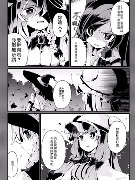 (C89)[相生青唯] 變心·輪迴 (東方Project)[喵玉漢化]_0017