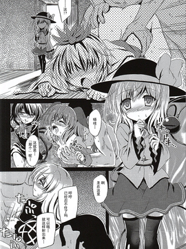(例大祭12) [Reverse Noise (やむっ)] 目立ちたがりの快楽主義者 (東方Project)[朔夜漢化]_06