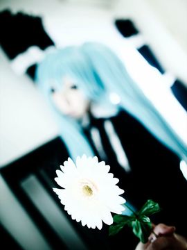 Scene Ever 改_097