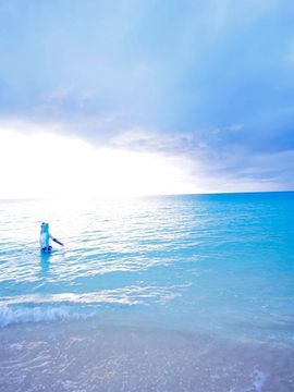 Scene Ever 4_590_l055