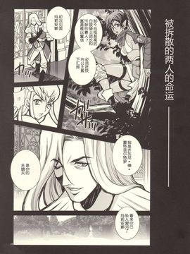 [シャルロット・ココ (ゆきやなぎ)] ゆきやなぎの本37 豚と女騎士_023