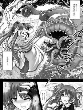 (C88) [サイクロン (和泉、冷泉)] らくがきChooo MARUNOMI (魔法少女リリカルなのは) [中国翻訳]_0007