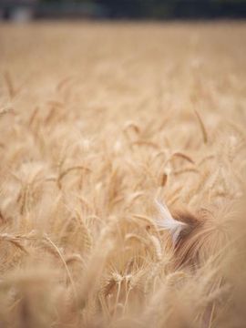 Whistle Around the World_153_008