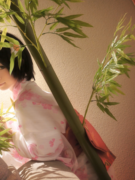 Niesemonogatari ROM_f_jacketimage_07
