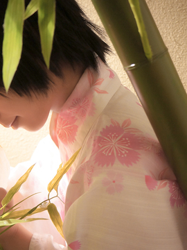 Niesemonogatari ROM_f_jacketimage_08