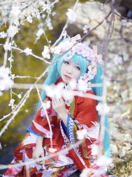 初音花色衣仙鹤和服 C O S_初音花色衣 (4)