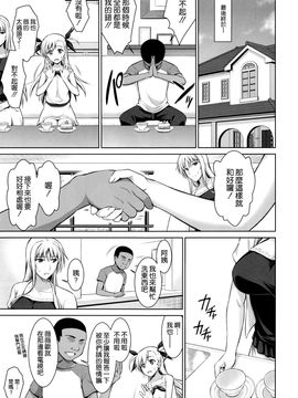 [空気系☆漢化] (C90) [Type-G (イシガキタカシ)] 雌神楽 -フェイト編3- (魔法少女リリカルなのは)_19_018