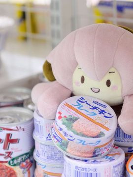 VOCALOID – Miku x Meiko x Luka x Rin cosplay_034