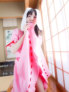 (コスプレ) (C78)(志乃蛍)東方蛍兎装_024