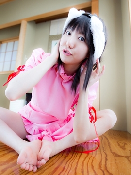 (コスプレ) (C78)(志乃蛍)東方蛍兎装_044