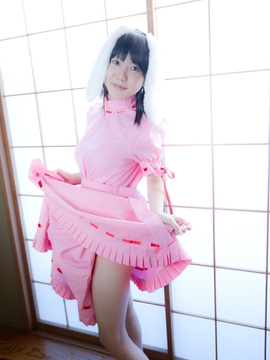 (コスプレ) (C78)(志乃蛍)東方蛍兎装_056