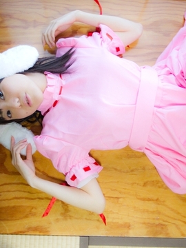 (コスプレ) (C78)(志乃蛍)東方蛍兎装_088