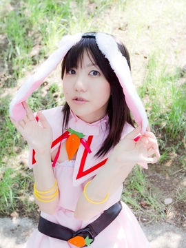 (コスプレ) (C78)(志乃蛍)東方蛍兎装_097