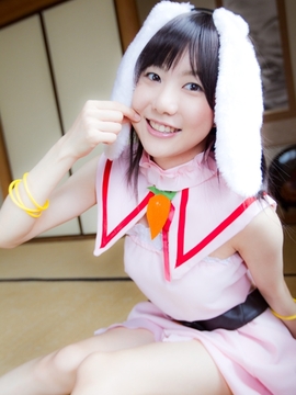 (コスプレ) (C78)(志乃蛍)東方蛍兎装_253